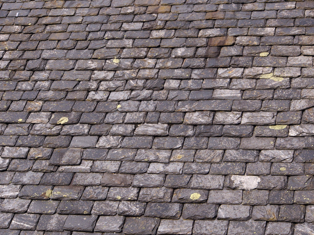 Lochendshingles_1319.JPG - Shingles at Lochend    