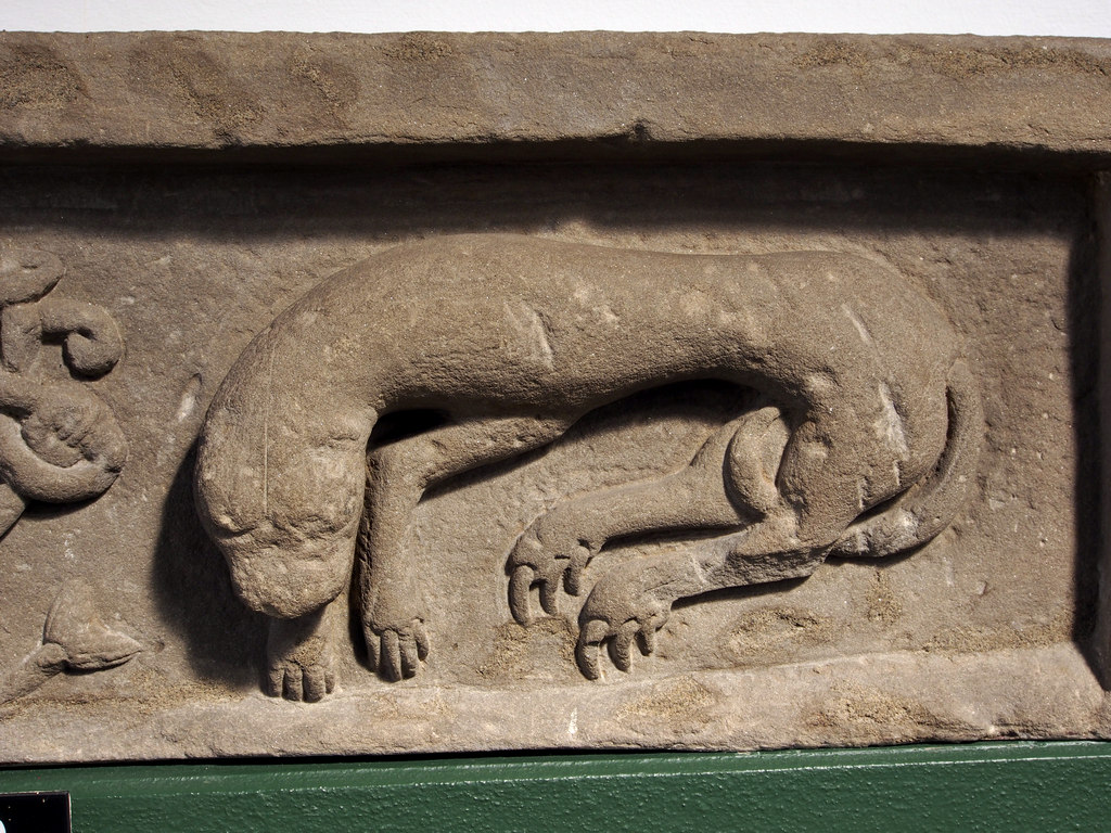 meigle_0785.JPG - Meigle stone. Otter.