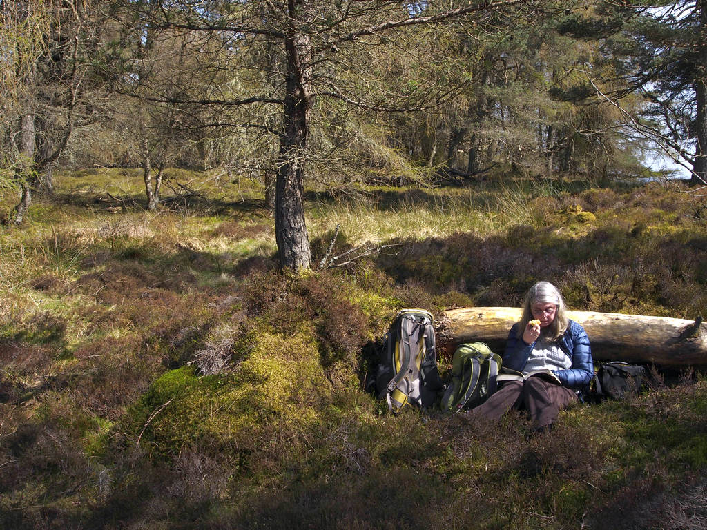 BirnamHillLunch_0700.JPG - Lunch on Birnam Hill.