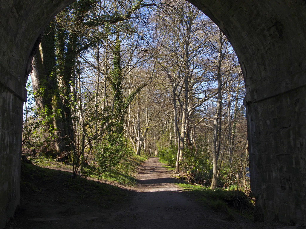 Birnam_0550.JPG - Under the bridge. Riverside Path.