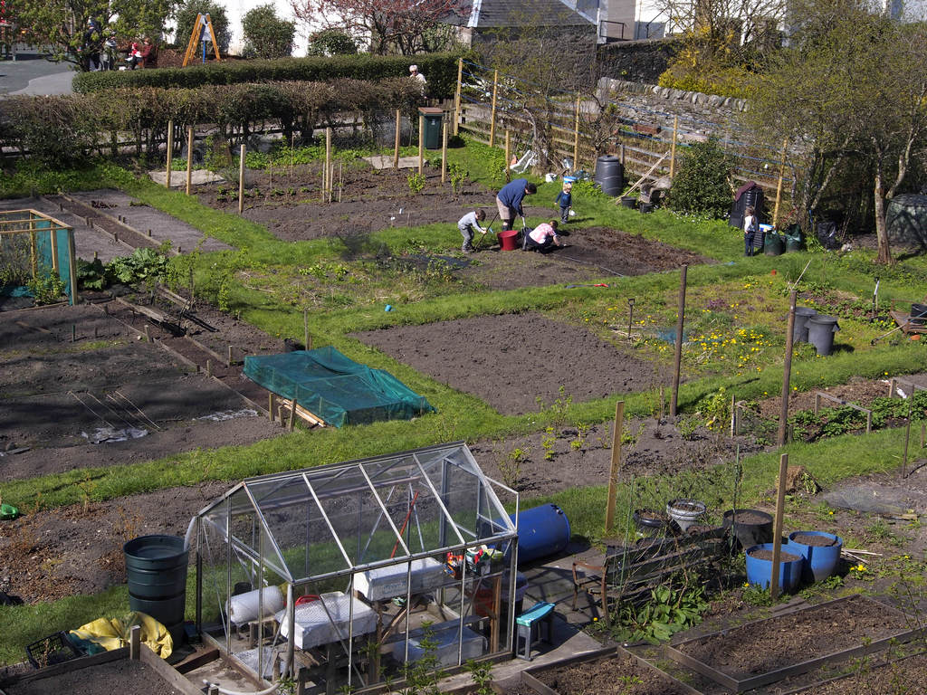 gardenDunkeld_0715.JPG - Gardening with the family.