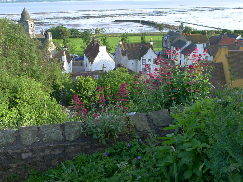 Culross_R0477.JPG - view from our self-catering accommodation