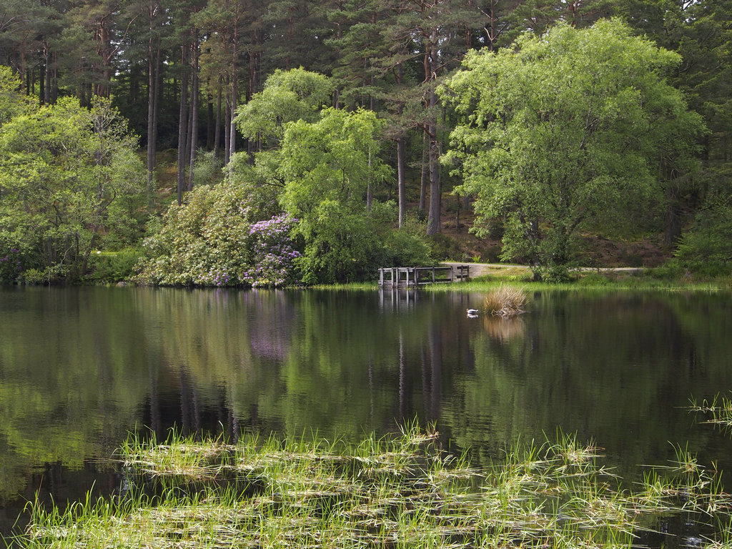 GlencoeLochan_0395.JPG - Glencoe Lochan