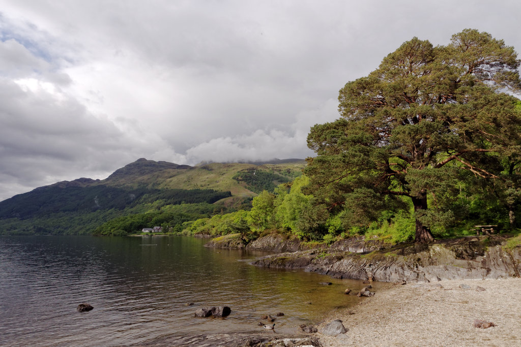 BenLommond_0902b_DxO.jpg - Ben Lommond in the clouds, Rowardennan Lodge