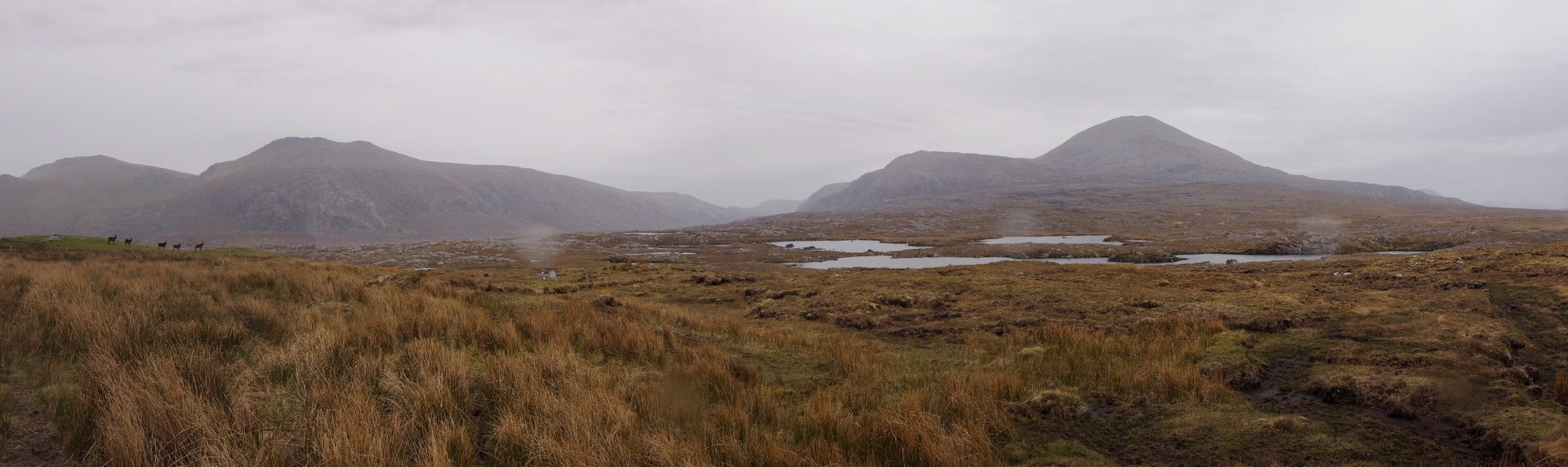 GanuMor_30766-71a_stitch.jpg - Ganu Moor in the rain. On the road to Durness from Kinlochbervie