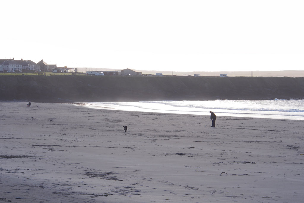 Thurso_0594_4.jpg - Evening at the beach in Thurso. Combine a little golf with walking the pup.