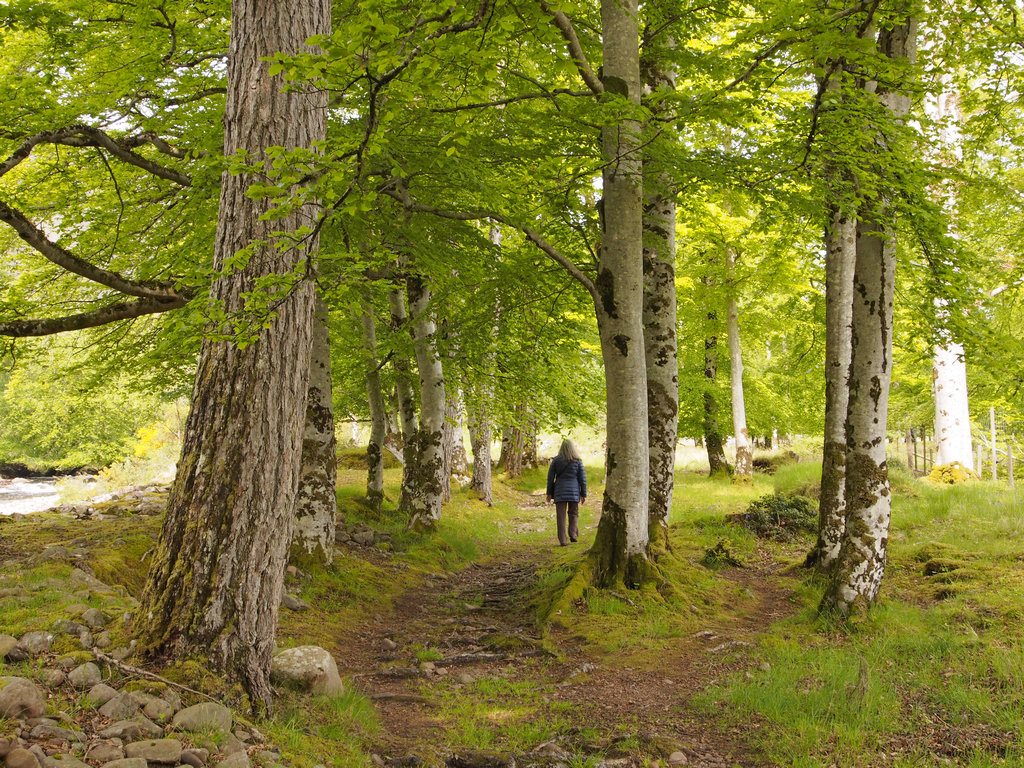 ApplecrossRiver_0019a.JPG - Applecross River walk