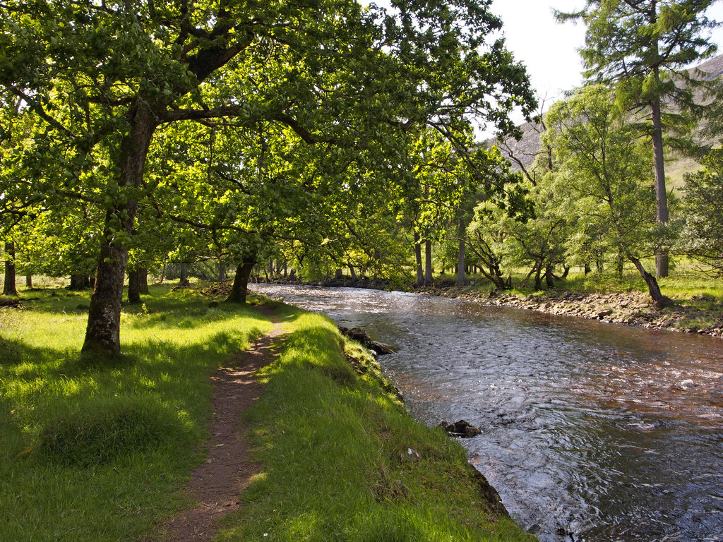 ApplecrossRiver_0047.JPG - Applecross River walk. The river is confined by these dikes.    