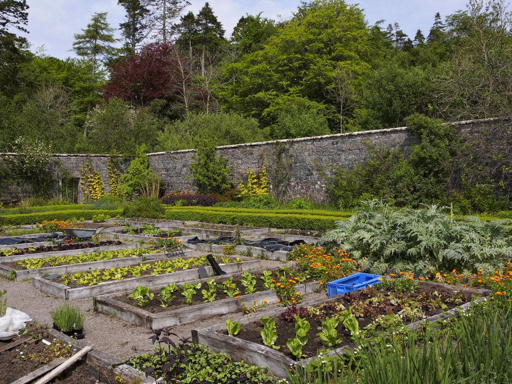 WalledGarden_0174a.JPG - Walled Garden at Applecross House. Work on Applecross House was begun in 1675 and it is likely that the garden was created at the same time. For many years the garden was the exclusive domain of the Mackenzie Laird, his family and team of six gardeners who toiled to supply the 'Big House' with fruit, flowers and vegetables. There is a nice cafe in the garden now.