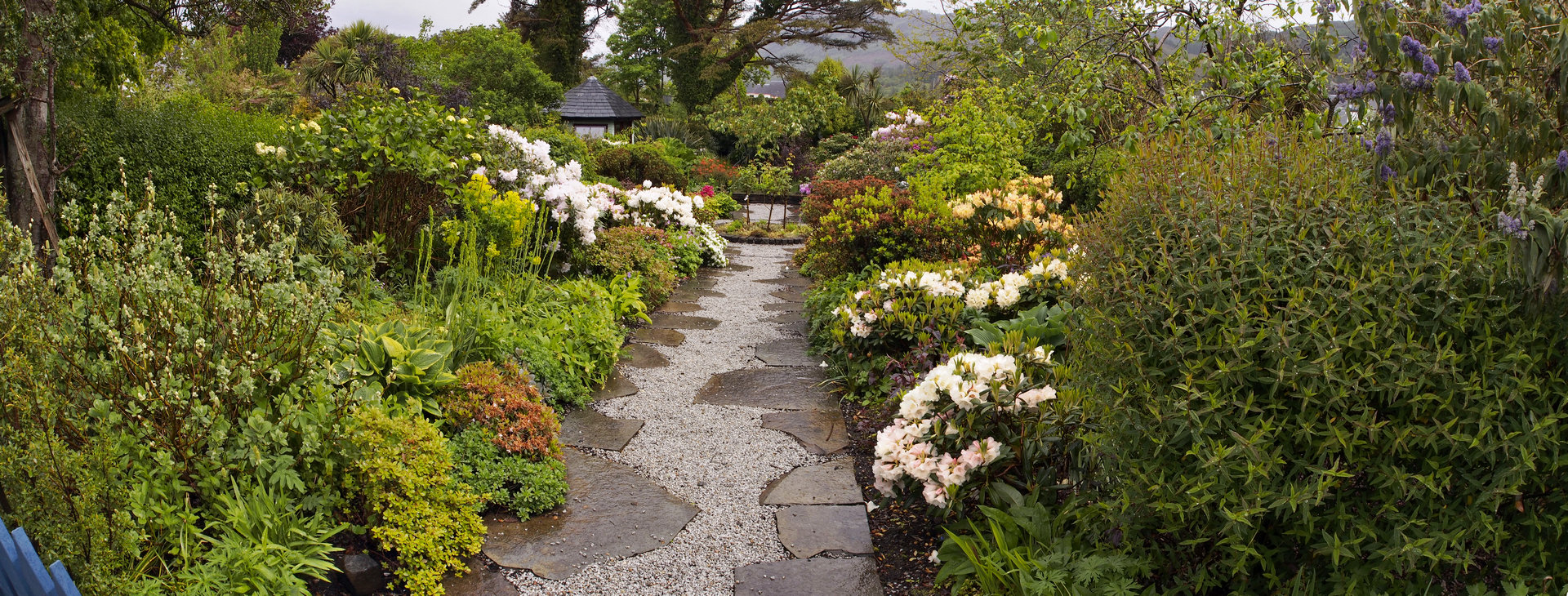 garden_1193-95.jpg - garden in Plockton