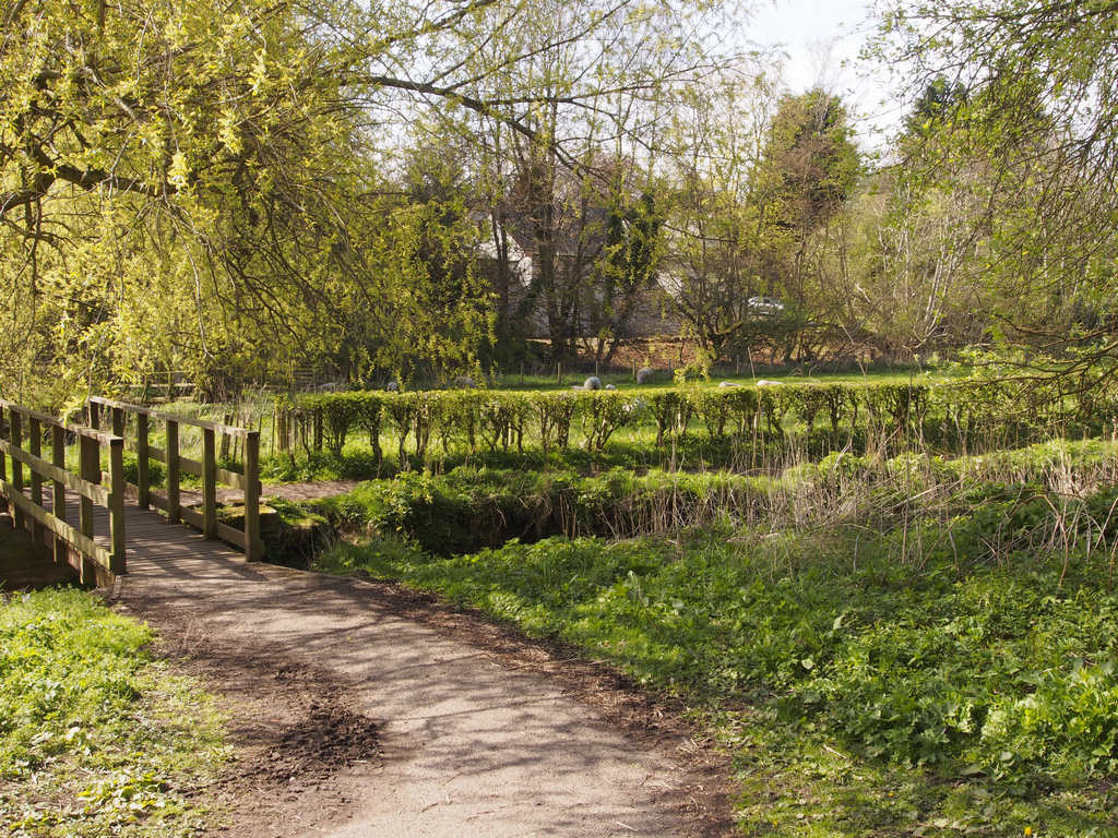 StVigeans_0911.JPG - Path to St. Vigean's.