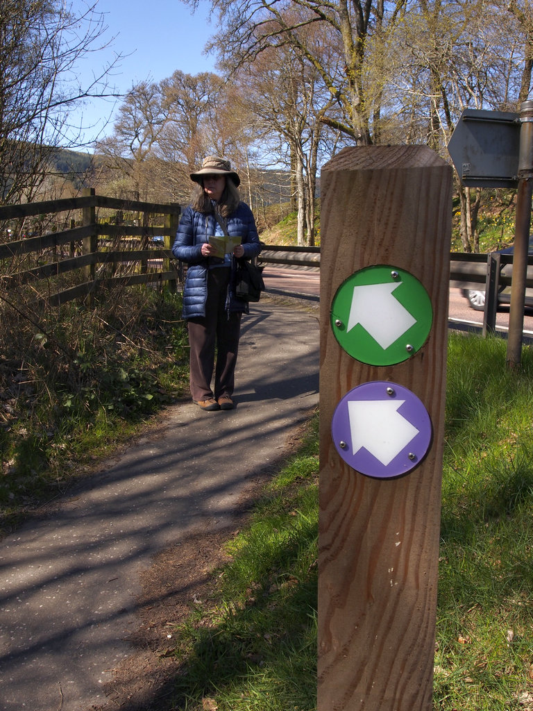 BirnamPath_0554.JPG - Heading to the Hermitage and the Inchewan Path