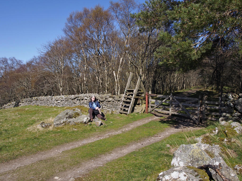 Birnam_0611.JPG - Gate on the Inchewan Path.