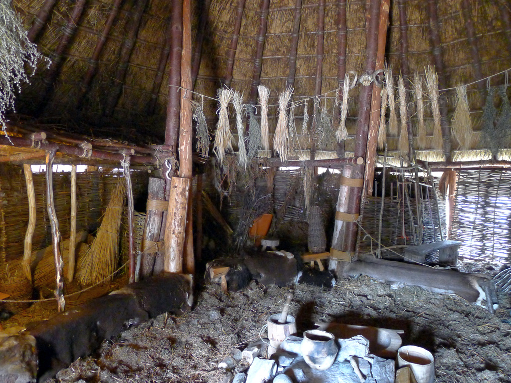 Crannog_R0242.JPG - Interior of Crannog as it would have looked.