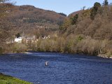 Dunkeld-Birnam_0534