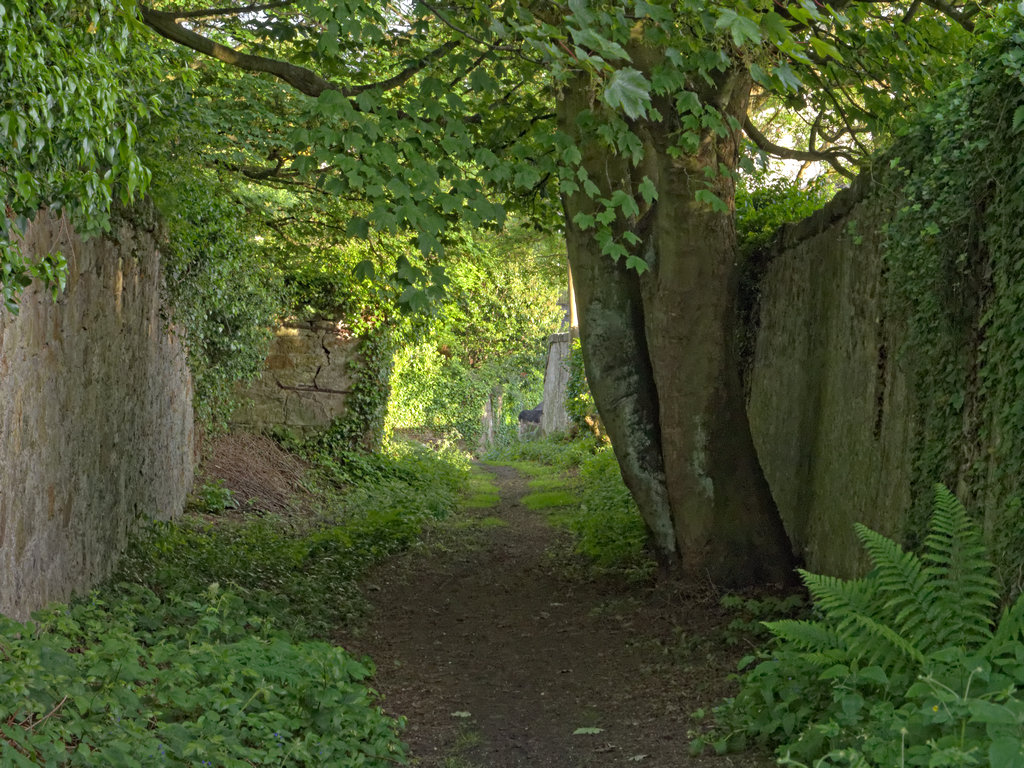 Culross_1097pse_DxO.jpg - Newgate 