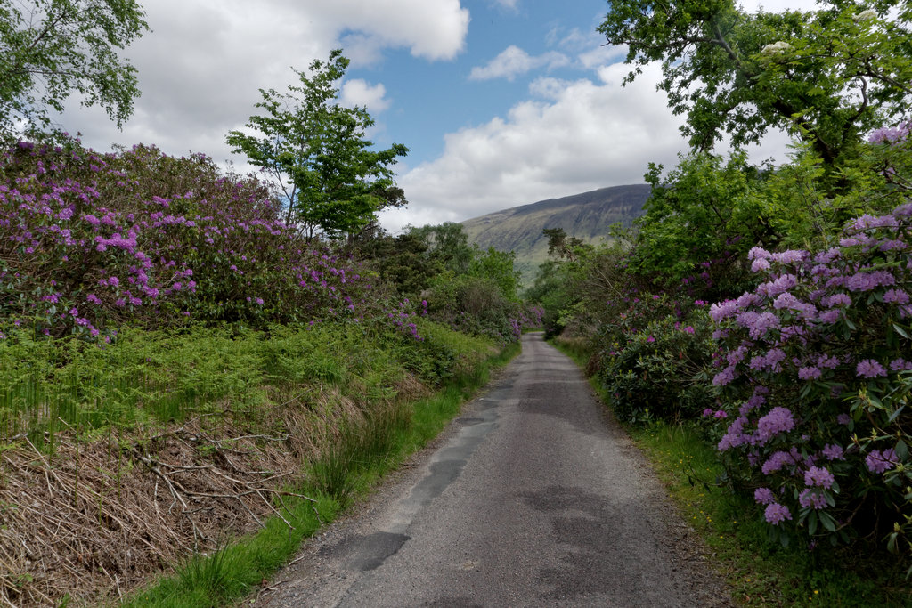 GlenEtive_0538_DxO.jpg - road in Glen Etive