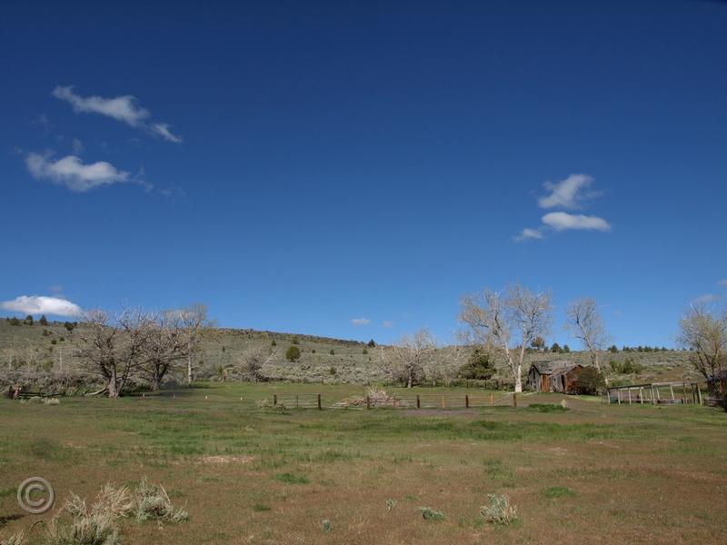 T-homestd718.jpg - Land homesteaded by my wife's gg grandfather on Moss Creek 20 miles from Paisley. He lost his herd during the bitter winter of 1888-9 and sold out. The property is now part of a large cattle ranch.